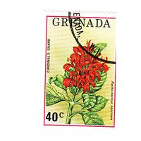 Гренада Флора