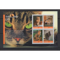 Уганда 2014** Кошки
