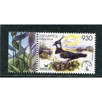 Беларусь 2006. Птица года. Чибис