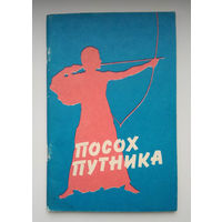 Посох путника