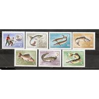 ФФ2 Венгрия 1967 Рыбы