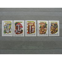 Продажа коллекции с 1 рубля! Чистые почтовые марки СССР в коллекционном** состоянии.