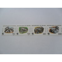 Бенин, змеи