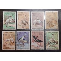 Вьетнам. Фауна. Птицы (405)