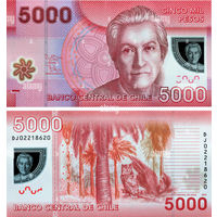 Чили 5000 песо 2014 год UNC (полимер с голограммным портретом)  Номер банкноты DA40508646