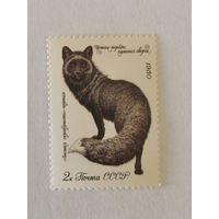 Марка из серии "Ценные породы пушных зверей" - Серебристо-черная лисица