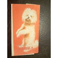 Обёртка от шоколадки\2