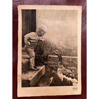 Открытка немецкая. Мальчик и гусь