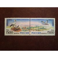 Россия 1995 г.Мир и свобода!.Европа(CEPT)./49а/