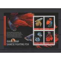 Уганда 2014** Сиамская бойцовая рыбка