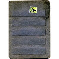 КЕНИЯ, фауна,  н гашен