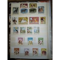 Собаки и другое. Набор марок.