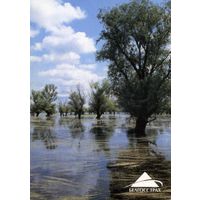 Календарик карманный Страхование Белгосстрах 2003