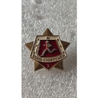 Значок знак Воин-спортсмен