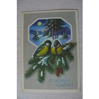 Куртенко Ю., С Новым годом! 1989, 1990, чистая, ДМПК (птицы, синица).