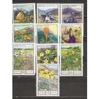 ФФ1 СССР 1975-76 Горные цветы