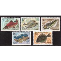 СССР-1983, (Заг.5346-5450) **  , Рыбы