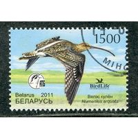 Беларусь 2011.. Птица года. Кроншнеп