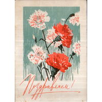 Подписанная открытка 1968г. "Поздравляем! Гвоздики" худ. Р. Житков