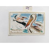 Руанда  1975 пеликаны