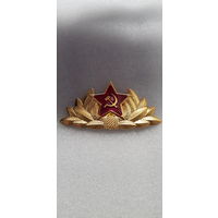 Кокарда ДМБ*