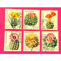 ГДР. Кактусы. ( 6 марок ) 1983 года. 1-3.