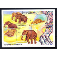 2000 Сомали. Слоны