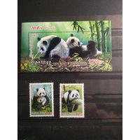 КНДР 2012 г. Медведи.