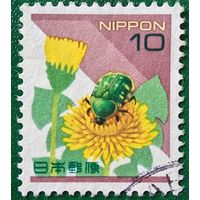 Япония. Одуванчик. Жук