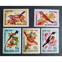 Марки СССР 1981 год Певчие птицы