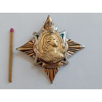 Знак. Пётр I. накладной