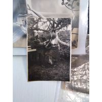 Неординарное фото 1920г