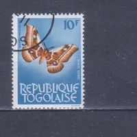 [388] Того 1964. Фауна.Бабочка. Гашеная марка.