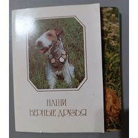 Наши верные друзья. Собаки. Набор открыток, 20 штук. 1987г.