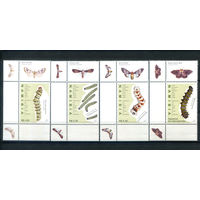 Намибия - 2010г. - насекомые, бабочки, гусеницы - 4 марки - полная серия, MNH [Mi 1357-1360]. #3-WK-Z-1-19