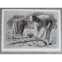 Маторин. Рытье картофеля