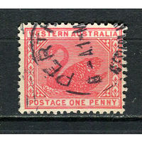 Западная Австралия (штат) - 1902/1911 - Лебедь 1Р - [Mi.49a] - 1 марка. Гашеная.  (Лот 12HW)-TG3P20
