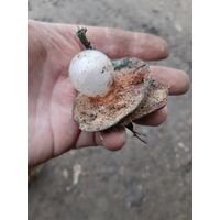 Лот по вермахту.