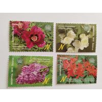 Беларусь 2015 4 м цветы