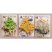 Лишайники Беларуси. Полная серия, 2019