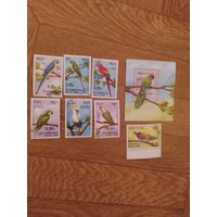 Кампучия блок и марки 1989г. Попугаи.