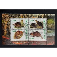 ЛИСТ ФАУНА животные  СТО