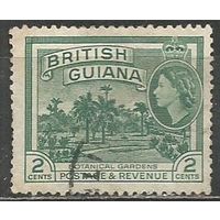 Британская Гвиана. Королева Елизавета II. Ботанический сад. 1954г. Mi#200.