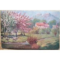 Старинная немецкая открытка. Сельский пейзаж с овцами. Чистая.