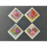 1970 СССР. Цветы