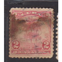 Пальмы флора  Куба 1899 или 1905 год лот 3