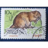 СССР 1967 пушные звери 1 и 7.