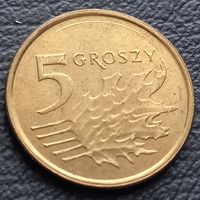 5 грошей 2013