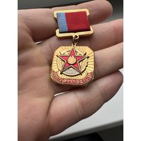 Значок ВДПО. Почётный Член Общества ВДПО. Тяжёлый