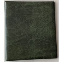 Альбом (папка) на кольцах для монет, банкнот. Формат Оптима (для листов 250*200 мм). Цвет зеленый